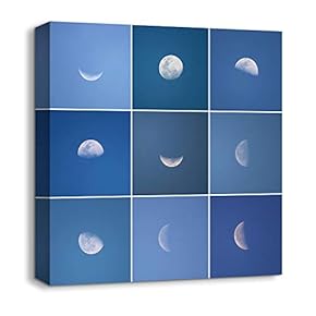 wall26 Canvas Wall Art Animals Plants Collage Ideas...