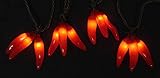 Sienna Set of 36 Red Chili Pepper Cluster Christmas Lights - Brown Wire