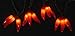 Sienna Set of 36 Red Chili Pepper Cluster Christmas Lights - Brown Wire