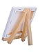 MEEDEN Mini Canvas & Easel Set of 12 PCS, 4