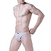 Mens New Solid Thong Swimsuit Bikini T-Back Underwear Briefs, Assorted Colors, Size L