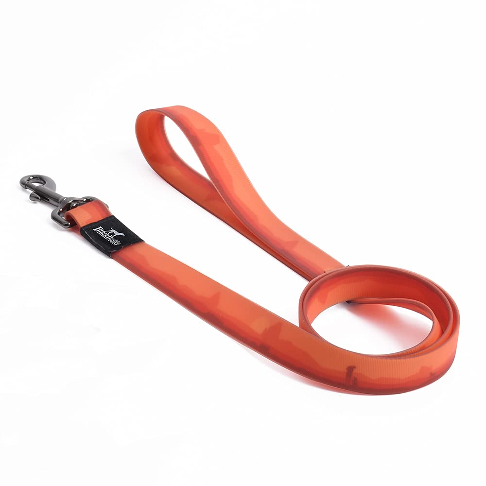 BlackDoggy 4FT/125cm Waterproof Dog Leash, Odor-Resistant & Quick-Dry Design, 360° Swivel Clasp, Pet Lead for Small, Medium and Large Dogs (Medium, Orange)