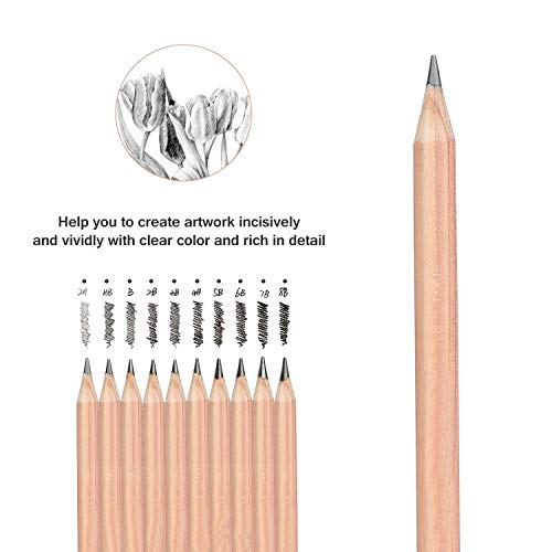 Soosee 29 Pieces Professional Sketching & Drawing Art Tool Kit with Graphite Pencils, Charcoal Pencils, Paper Erasable Pen, Craft Knife-Lightwish (Without Sketchbook, Canvas Rolling Pouch)