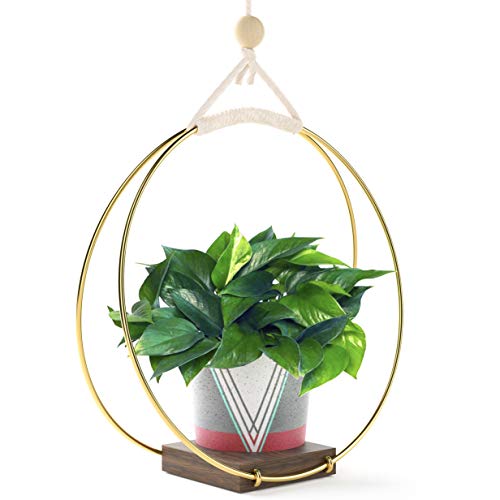 Modern Boho Hanging Planter Macrame Plant Hanger for Indoor Plants
