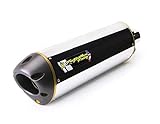Two Brothers Racing (005-2470106V) Standard Series M-2 Aluminum Canister Full Exhaust System