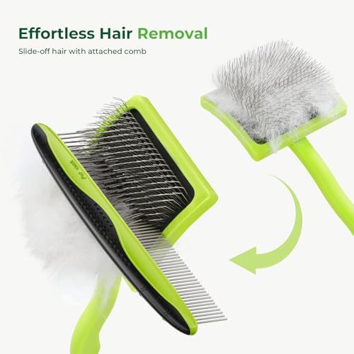 Pecute Slicker Brush for Dogs, Smoothing Brush for Dogs, Doodle Brush Professional Grooming Volumizes Detangler, Knots Detangler for Goldendoodle, Poodle (25mm, L)