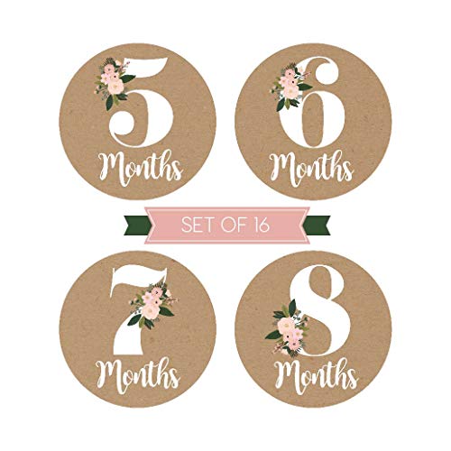 16 Rustic Floral Baby Girl Milestone Stickers, 12 Monthly Photo Picture Props for Infant Onesie, 1st Year Belly Decals, Scrapbook Memory Registry Gift, Best Shower Basket Present, Flower Birth Months - Thumbnail 3