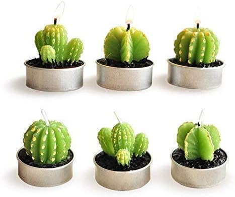 Cactus Candles, Mini Cute Tealight Candles for Christmas, Home, Decor, Birthday, Party, Wedding 6 Pcs (Gift Wrap)