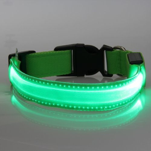 Best Dog Collars with Lights
