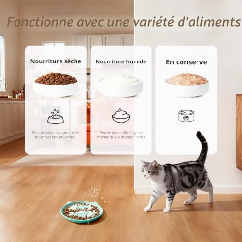 Bol d'alimentation lente pour chats, 2 bols en silicone pour chats, mangeoire lente idéale pour aliments secs et humides, facile à nettoyer, jouet interactif pour l'entraînement de