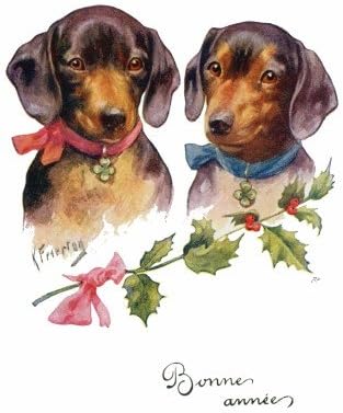 dachshund new year