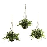 Nearly Natural 6741-S3 Eucalyptus Maiden Hair Berry Hanging Basket, Green, Set of 3