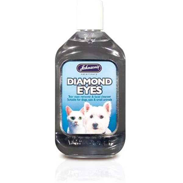 floor standing bird perch