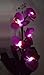 BlueStarXL Improved Made of Plastic Orchid Solar Flower, LED Solar Flower, LED Light, Outdoor Light, Solar Light, Garden Light (Purple)