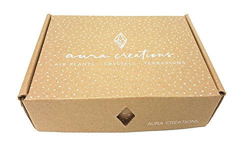 SAGITTARIUS Zodiac Crystal Healing Set / Tumbled Stones and Wooden Geometric triangle shelf in Gift Box / Astrology Sign Sagittarius Birth Stones - Thumbnail 7