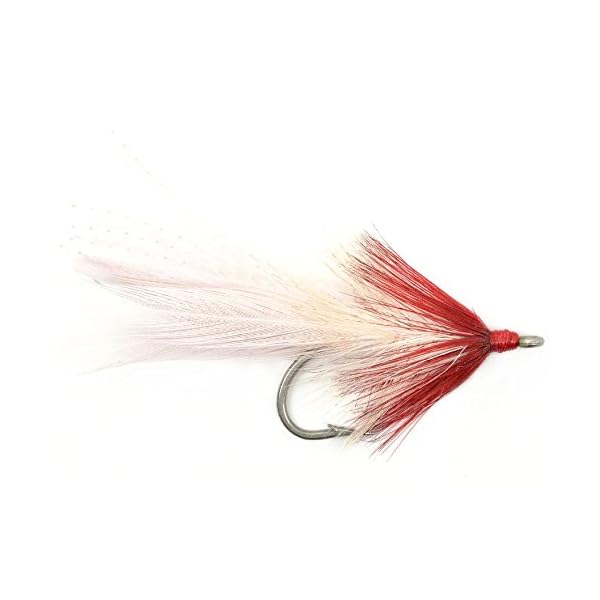 The-Fly-Fishing-Place-Tarpon-Fly-Fishing-Flies-Assortment-Collection-of-7-Saltwater-Flies-Stainless-Steel-hooks-Size-20