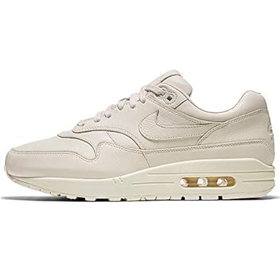 nikelab air max 1 pinnacle