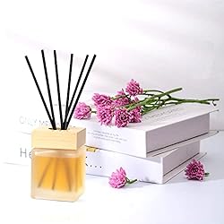 Brakula Reed Diffuser Set, Black Vanilla Scented