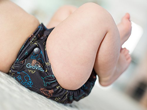 5 GroVia+Reusable+Hybrid+Diaper+Abalone