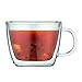 Bodum 15oz Double Wall Latte Mug, High-Heat Borosilicate Glass, Set of 2, Clear