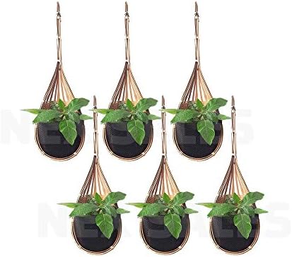 Pack of 6 Bamboo Pot Hanging Planter Orchid Vanda Flower Woven Basket Garden Decor Home