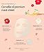 Cosrx Holy Moly Snail Mask 21ml
