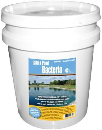 Outdoor Water Solutions Lake & Pond Bacteria Packs 25lb. | 50 Dissolvable Packs | Naturally Cleans Pond | Eliminates Muck and Odor