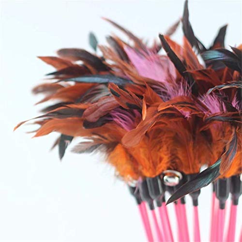 2 CARDEON+Feather+Teaser+Exerciser+Kitten