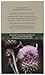 Edinburgh Tea & Coffee Company Scottish Thistle Infused Black Tea, 25 Tagged Tea Bags (Pack of 1)