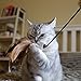 Gigwi Feathers Cat Toys Wands Set, 2 Pack of Interactive Cat Wand Teaser Cat Fishing Pole Toy with Fuzzy Worms, Anti-Skid Rubber Handle 25 Inches Long, Entertaining Cat Toys for Boredom
