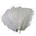 STTQYB Ostrich Feathers, 20Pcs Feathers for Centerpieces, Natural Ostrich Feathers for Wedding Centerpieces Home Decoration (White, 10-12 Inches)