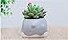 Cuteforyou Succulent Pots,Cute Cartoon Ceramic Succulent Cactus Flower Pot,Pencil Holders,Desk Accessories, Makeup Brush Storage Stand-Plant Not Included (Grey Schnauze)