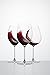 Riedel Veritas New World Pinot Noir Glass