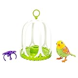 DigiBirds - Bird with Bird Cage - Green