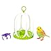 DigiBirds - Bird with Bird Cage - Green