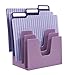 Acrimet 5 Section Incline File Sorter Organizer, Mail, Folder, Letter Desk Organizer, Rack for Office Organization Desktop (Plastic) (Solid Purple Color)