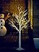 Plabingo 4FT Lighted Birch Tree Christmas Tree 48 LED Lights with Warm White Light, Artificial Decorative Tree for Christmas Home Holiday Garden Party Festival Wedding Decor, Indoor and Outdoor Use