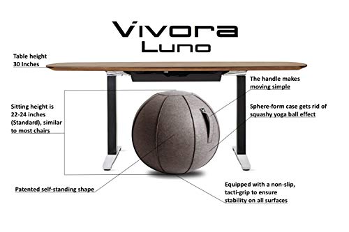 Vivora Luno Exercise Ball for Home, Office, Yoga, Stability and Fitness, Sitting Ball with Handle - Clay