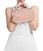 Albabara Satin Beaded Handmade Clutch Purse Evening Handbags,Pink