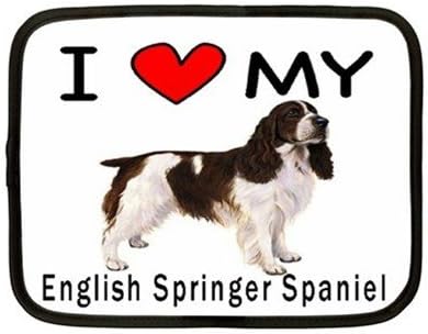 i love my springer spaniel