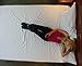 Snuggle-Pedic Twin XL Mattress - Ultra-Luxury Memory Foam Hybrid, 10 Inch, Bamboo Cover, Firm
