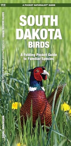 Birds of the Forest: Lansdowne, James Fenwick: 9780884860273