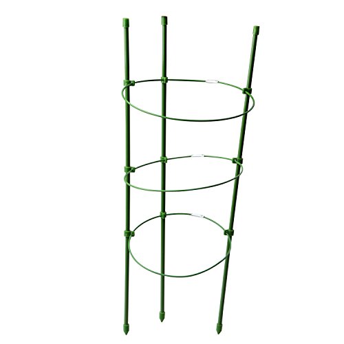 Mini Trellis , Garden Plant Supports Rings Trellis Garden Trellis for Potted Climbing Plants Support for DIY Garden Plant Pot with 3 Rings by UHBGT