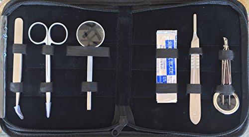 Taxonyx Science Inc Reptile Hatching Kit