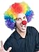 Enigma Wigs Men's E Clown(Economy), Multi, One Size