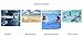 Top of top store Paired Swimming Weights Aquatic Cuffs Water Aerobics Float Ring Fitness Exercise Set Workout Ankles Arms Belts