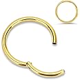 PIERCINGBOY 1Pcs 316l Surgical Steel Nose Rings Hoop 20G 18G 16G Hinged Clicker Septum Cartilage Ear Piercing Gold-Silver-Black Diameter 6mm to 12mm