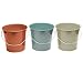 Tiki Brand 1417075 Bucket Seaside (3 Pack), 17 oz, Wax primary