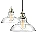 2-Pack Pendant Light Hanging Glass Ceiling Mounted Chandelier Fixture, SHINE HAI Modern Industrial Edison Vintage Style