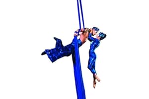 DASKING Aerial Silks Starter Kit - Durable 11Yards of Aerial Yoga Hammock with Hardware, Aerial Swing for Acrobatic Flying Yoga & All Levels (Aerial Rigging Point Up to 14ft)